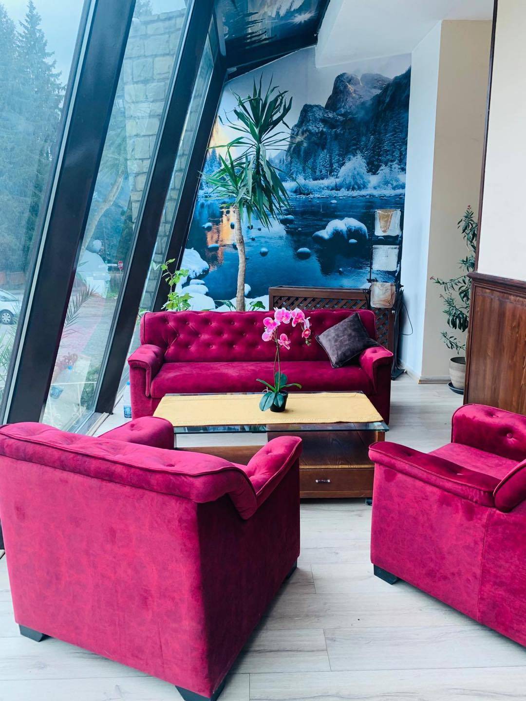 Revelion 2025 la Munte Predeal Hotel Belvedere