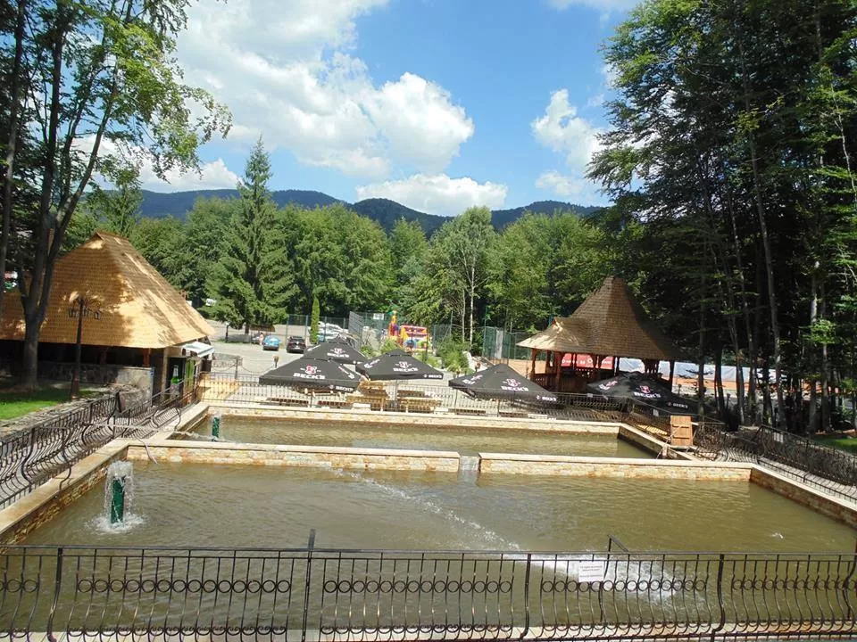 Sejur Munte Maramures 2025 Baia Sprie Complex Turistic SUIOR BAZA