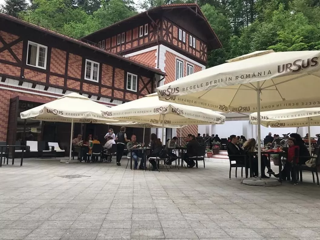 Revelion 2021 in Sinaia – Hotel Bastion***