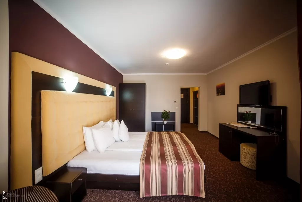 Cazare 2021 Bistrita Hotel Ozana***
