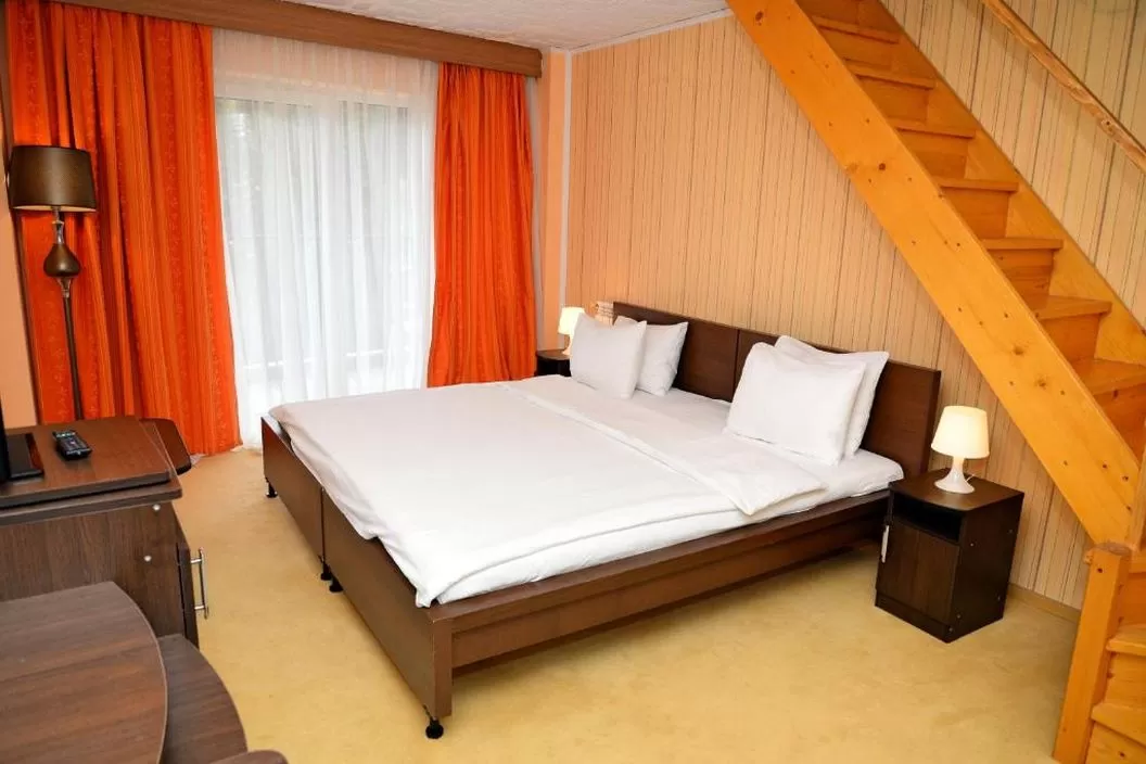 Sejur Munte Predeal Hotel Atrium Mountain View