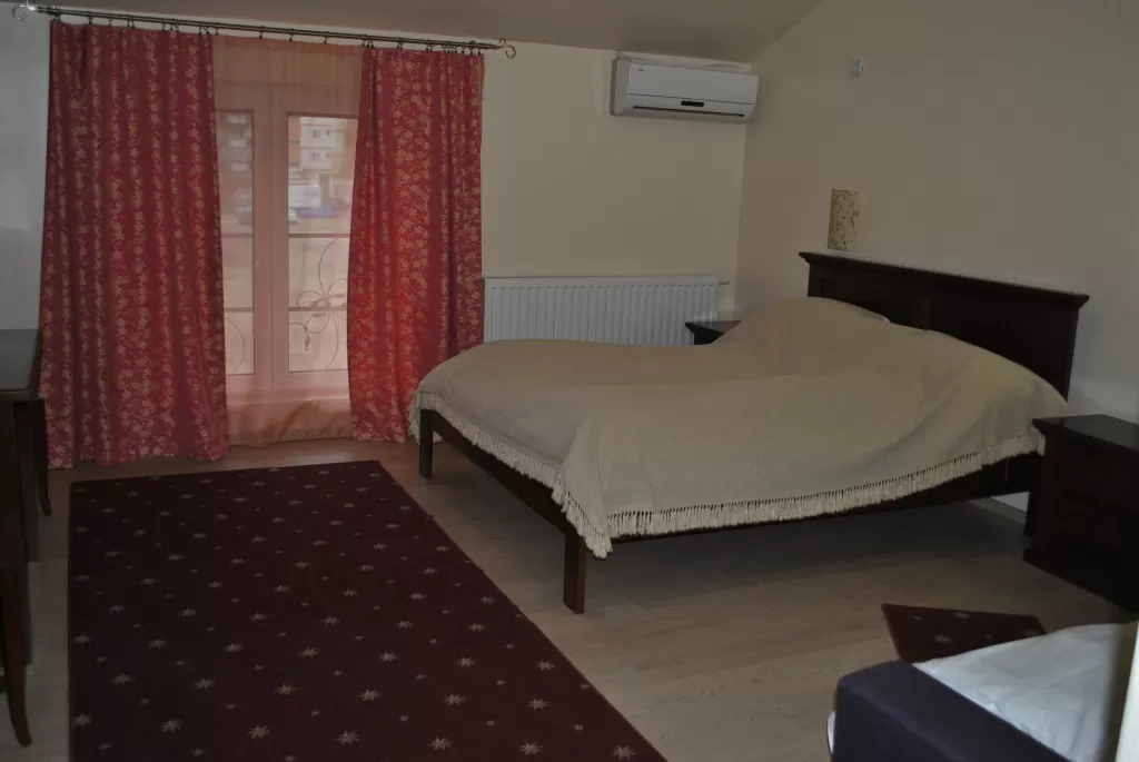 Sejur Hateg Pensiunea Vila Veche