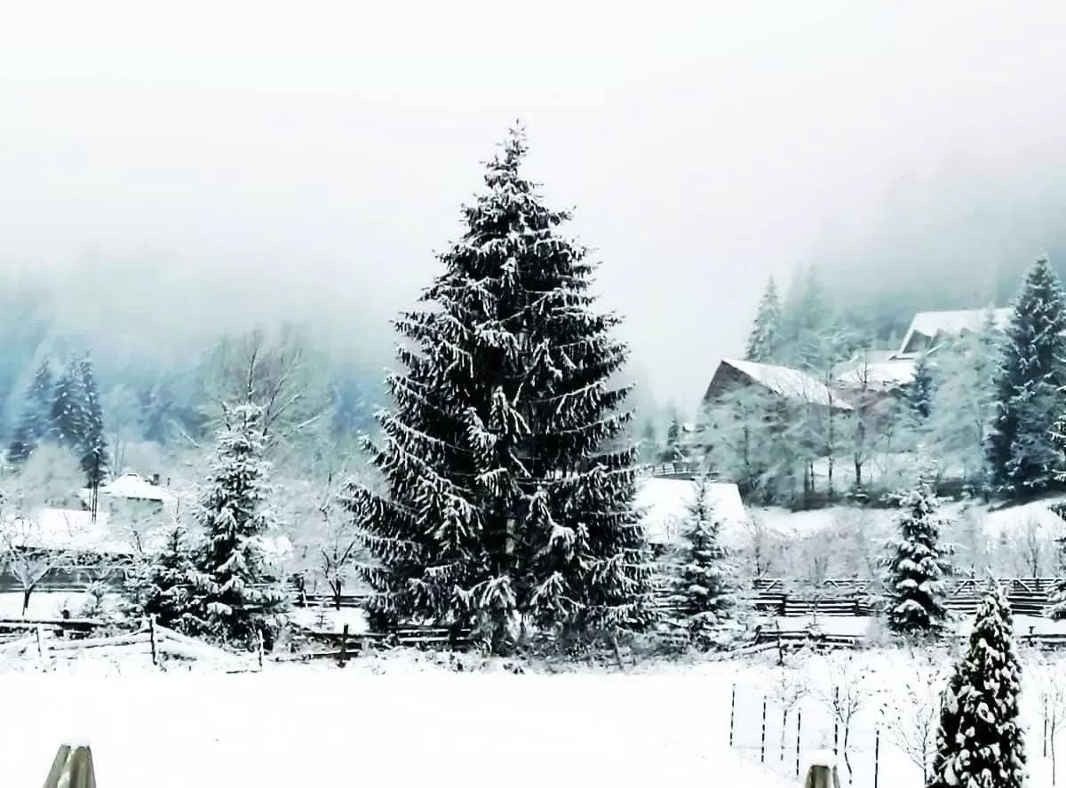 Craciun 2025 Bucovina Voronet Pensiunea Blumenhof Bucovina