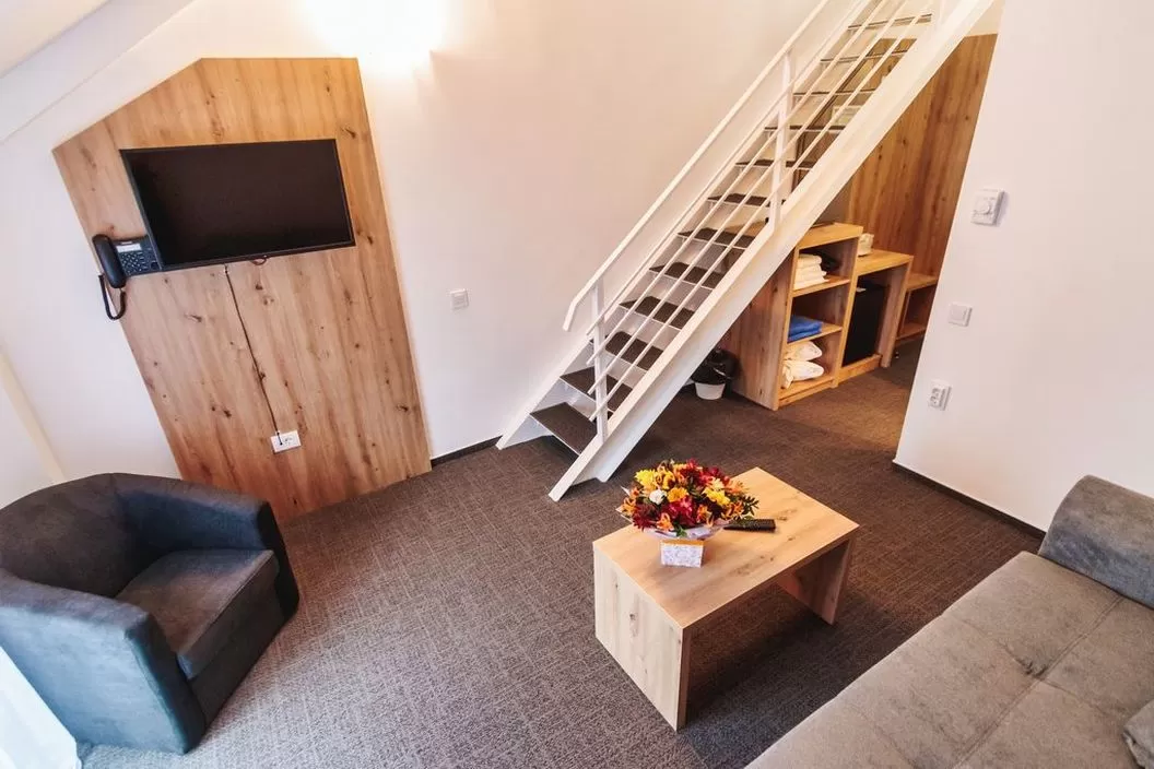 Pachet Tratament Balneo SPA 2025 Calimanesti Caciulata Hotel Domnitei