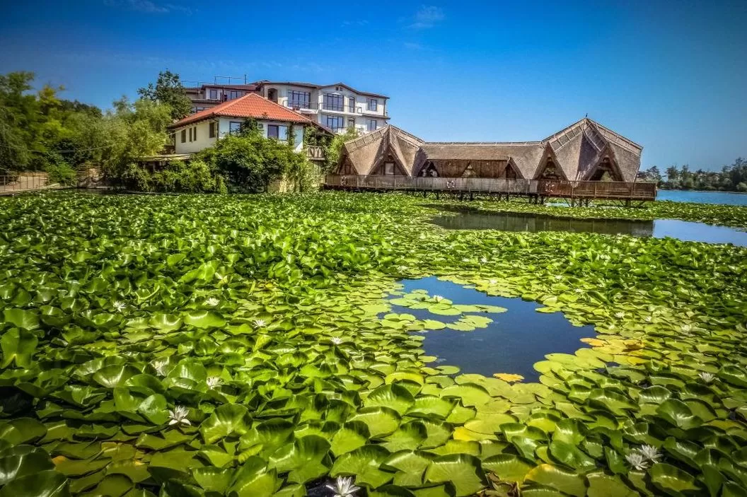 Litoral 2025 Neptun Hotel Insula