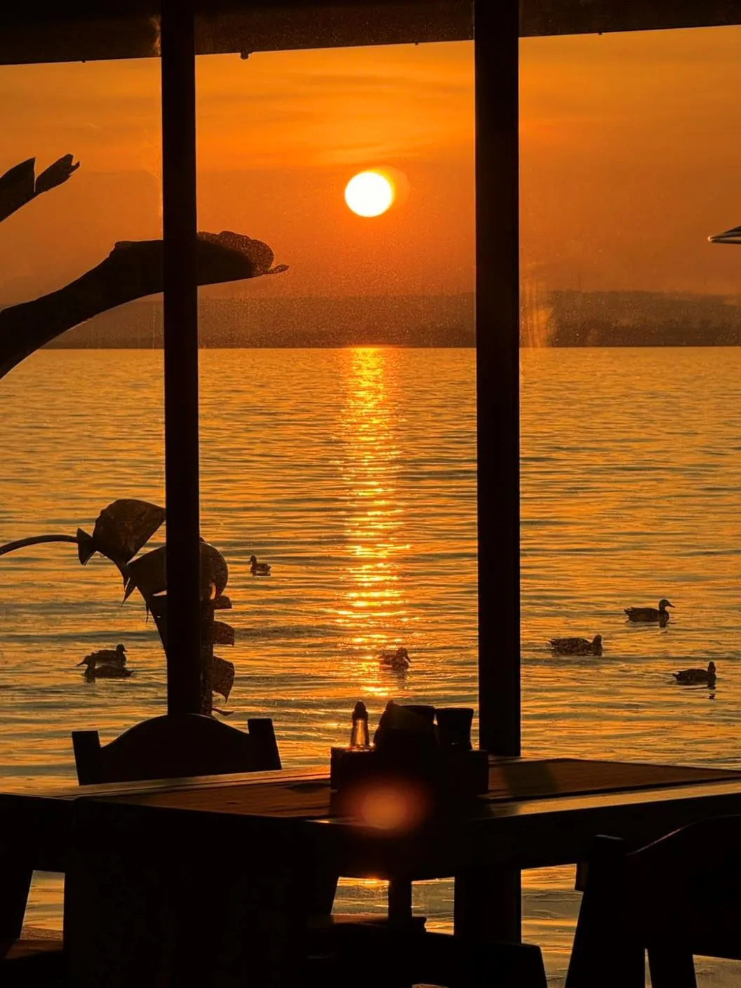 Sejur litoral 2026 Mamaia Hotel La Scoica Land