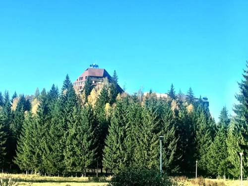 Vacanta de vara 2023 Poiana Brasov Alpin Resort**** 
