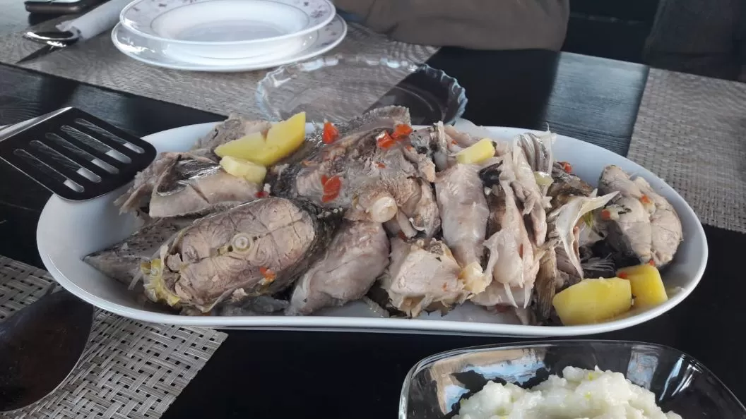 Sejur All Inclusive in Delta Dunarii 2025 Mila 23 Pensiunea Gigant Fish