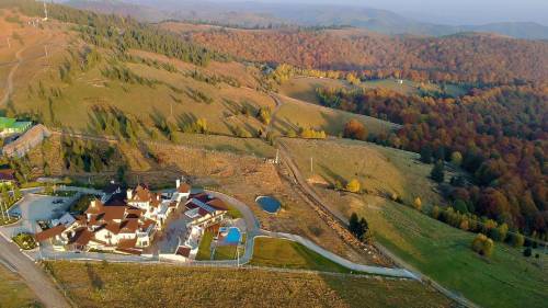  Relaxare la Munte 2023 Paltinis Hotel Castelnor**** 