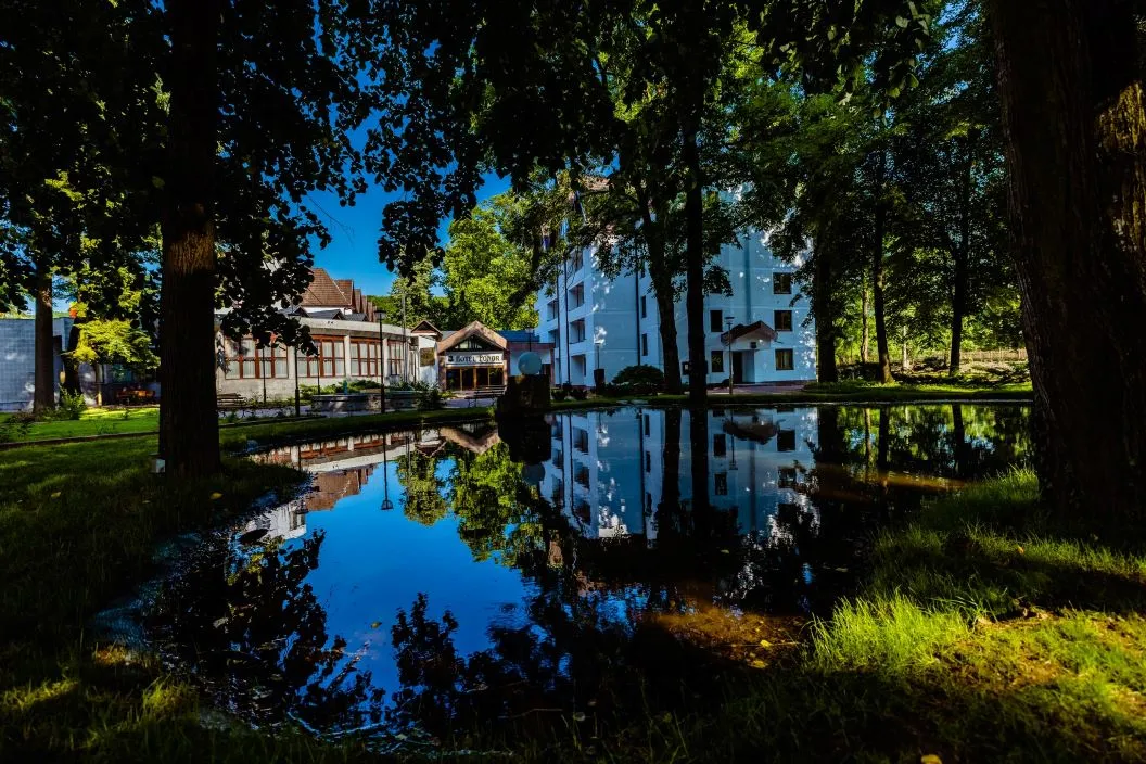 Tratament Balneo 2026 Complexul Balneo Termal Vata Bai Hotel Ponor