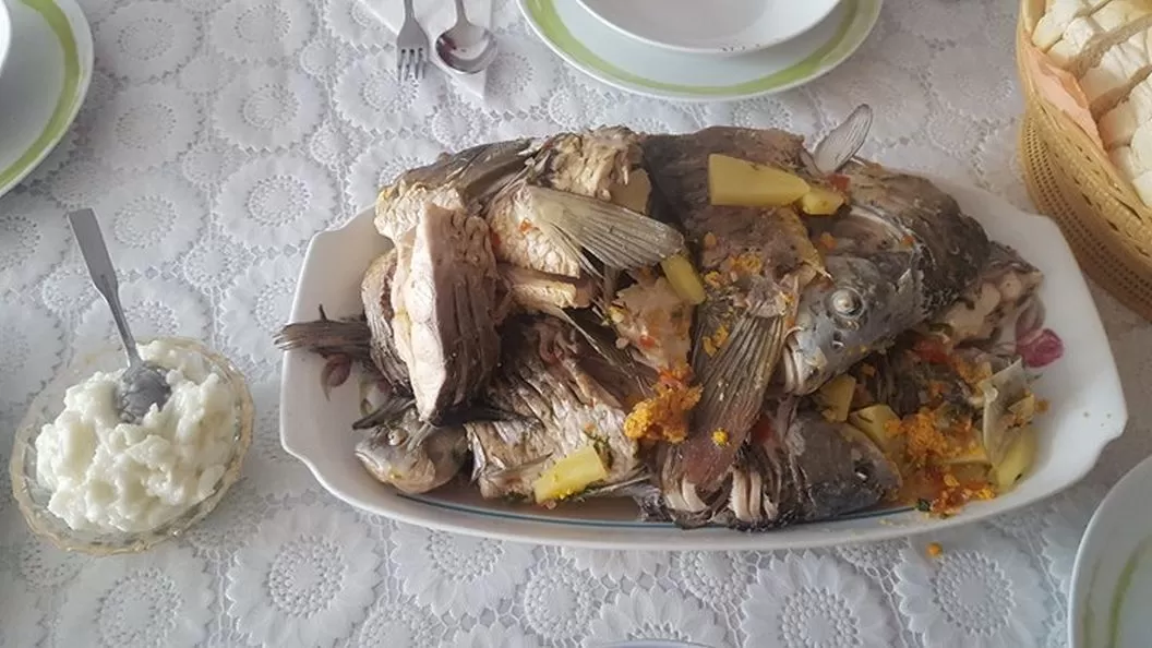 Sejur All Inclusive in Delta Dunarii 2025 Mila 23 Pensiunea Gigant Fish