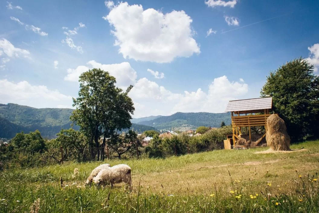 Vacanta in Bucovina 2025 Gura Humorului Pensiunea La Roata