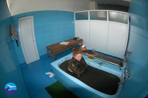 Cura Balneara 2025 Eforie Nord Hotel Traian