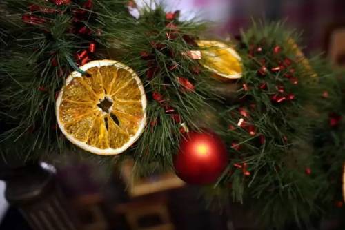 Revelion 2024 in Bucov Casa Timis***