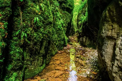 Sejur odihna 2025 Arieseni Pensiunea Skipass*** 