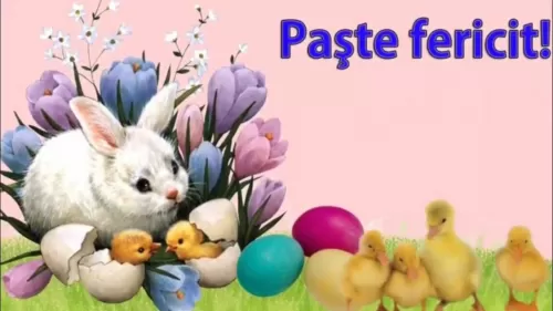 Sarbatori de Pasti 2026 in Sinaia Hotel Anda