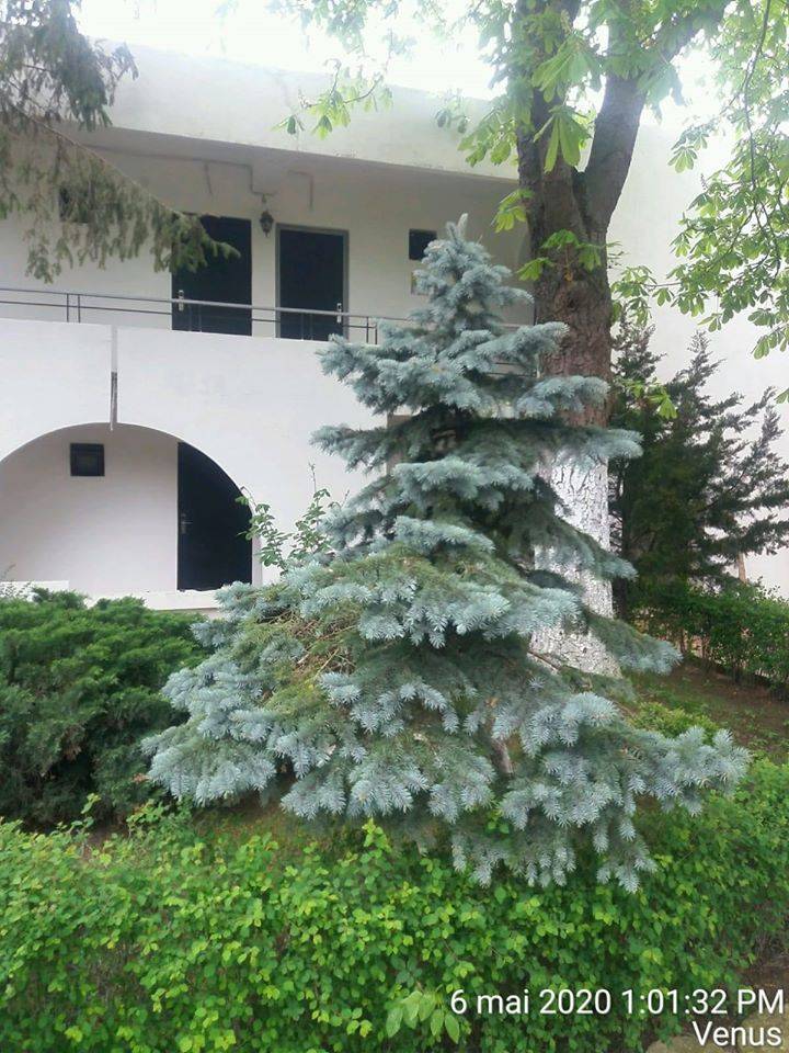 Litoral 2022 Venus Hotel Iulia Resort***