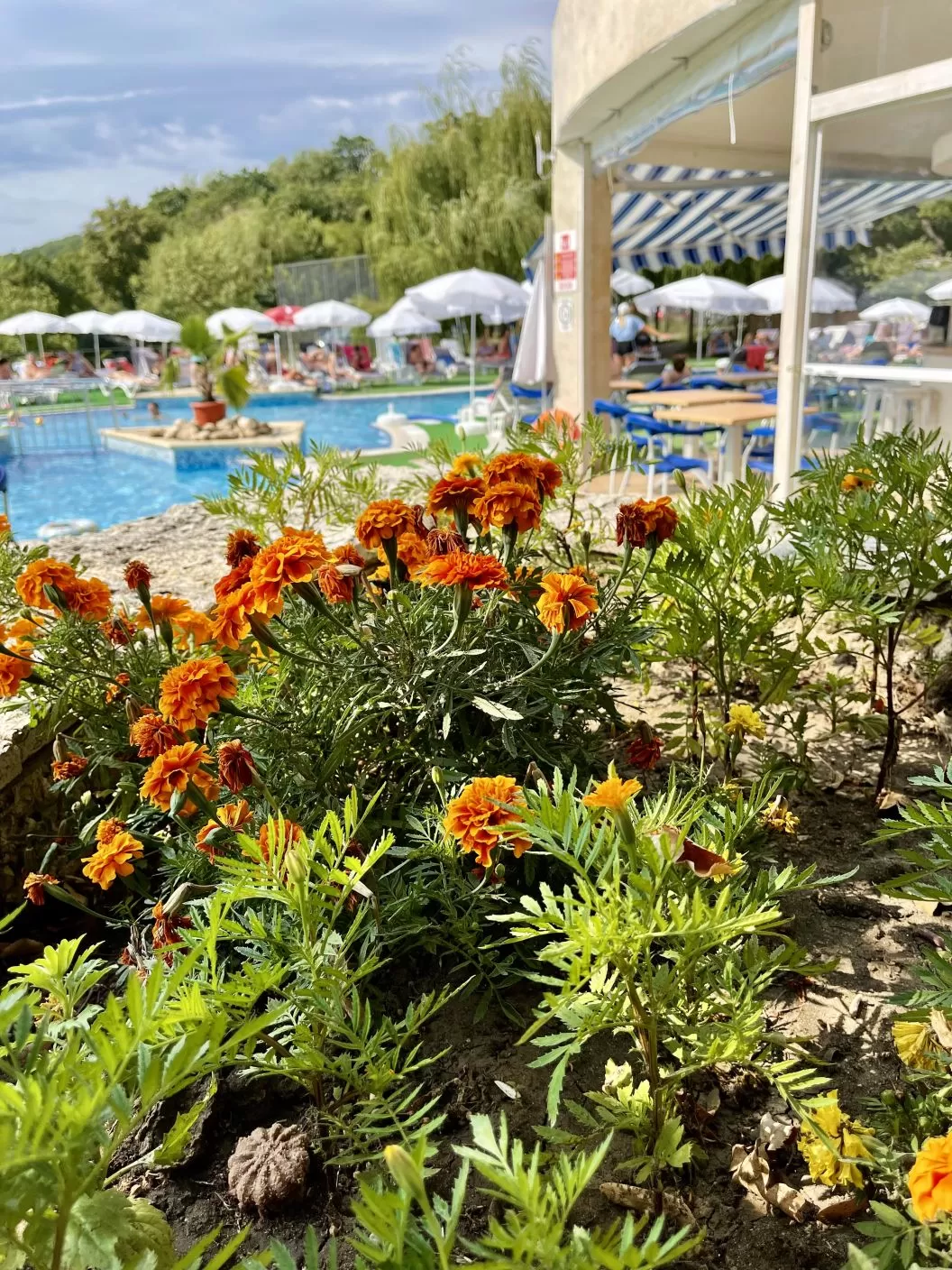 Litoral 2024 Nisipurile de Aur Hotel Holiday Park**** 