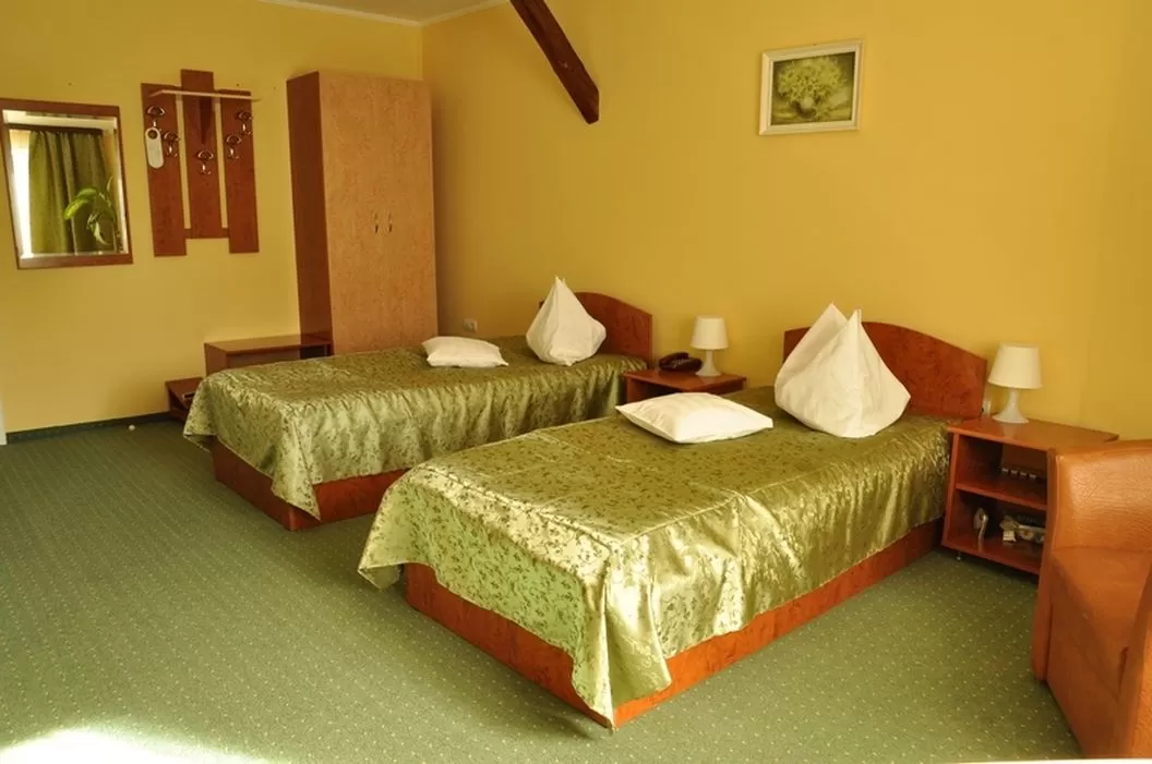 Cazare Satu Mare Hotel Cardinal***