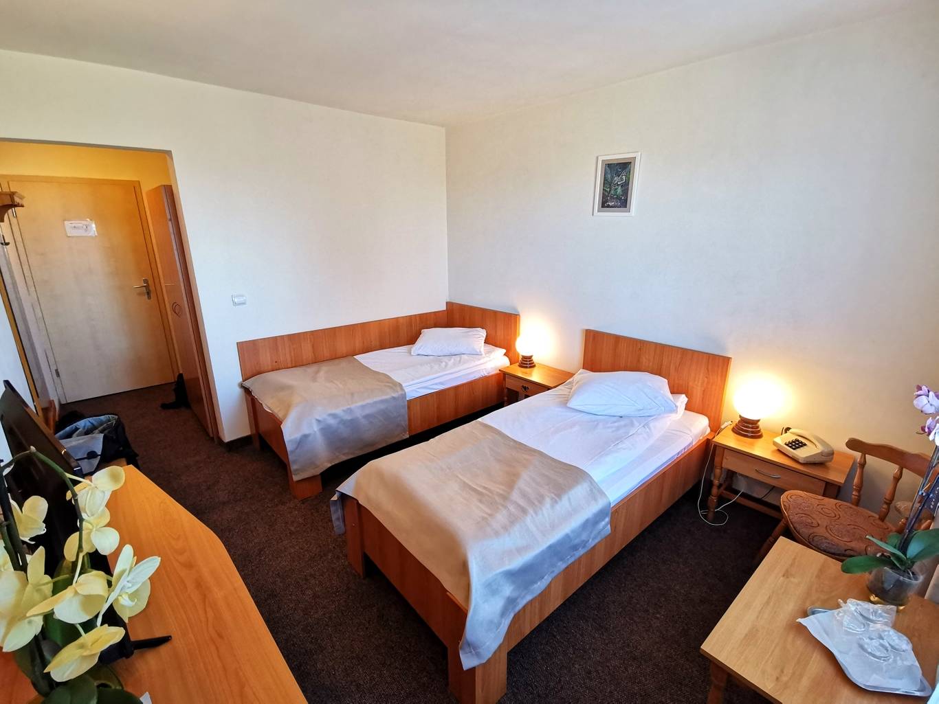 Oferta speciala Relaxare si tratament 2023 Covasna Hotel Montana