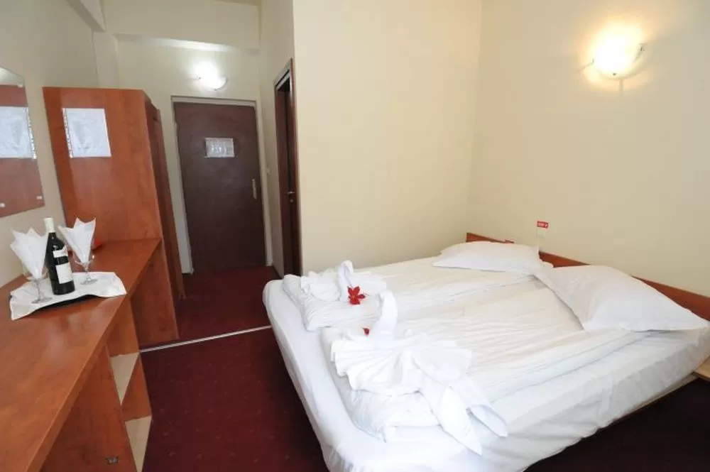 Revelion 2024 in Azuga Hotel Pin***