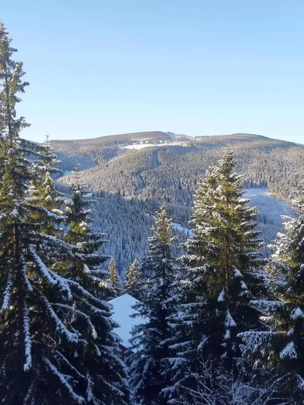 Vacanta in Marginimea Sibiului Gura Raului Pensiunea Norica