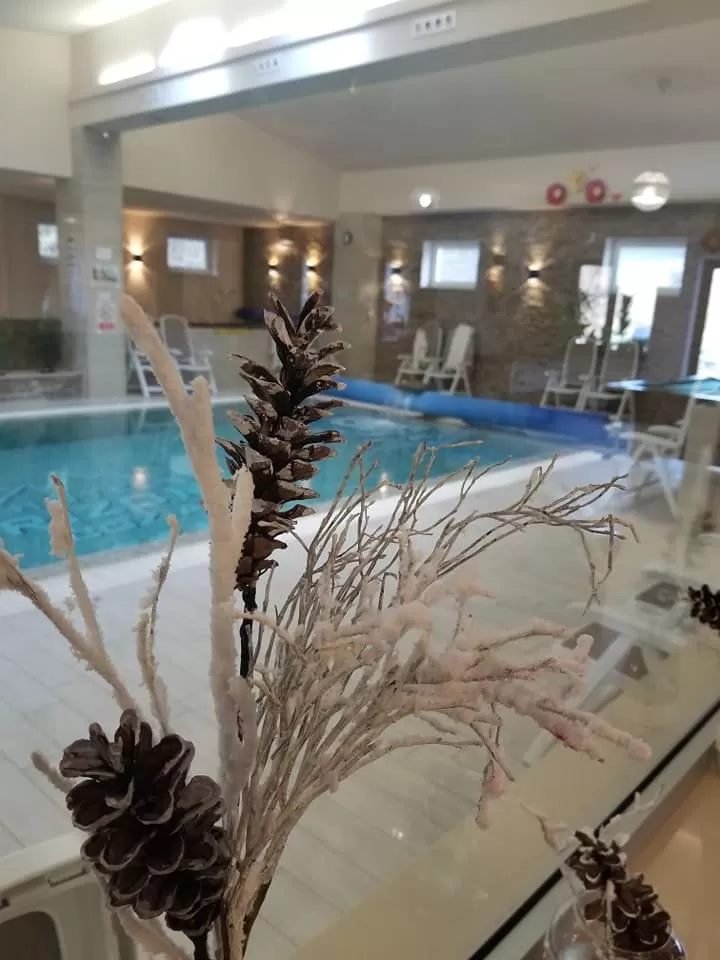 Revelion 2023 Munte SPA Calimanesti Caciulata Hotel Orizont Cozia