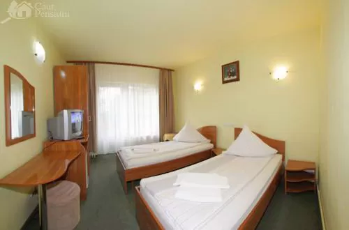 Revelion 2020 Maramures Ocna Sugatag Pensiunea Popasul din Deal*** 