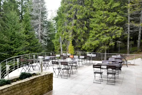 Sejur odihna 2025 Paltinis Hotel Cindrel