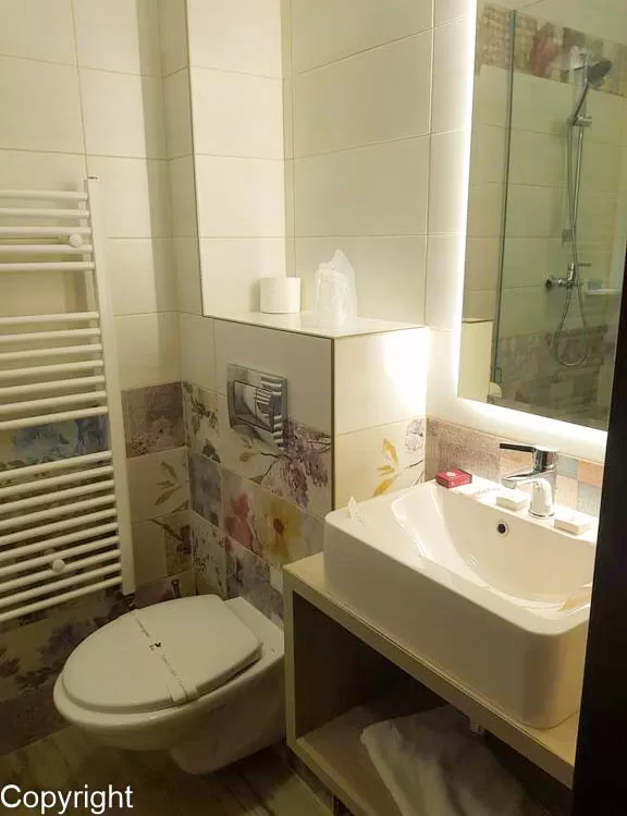 Sejur odihna 2020 Baile Olanesti - Hotel Florilor***