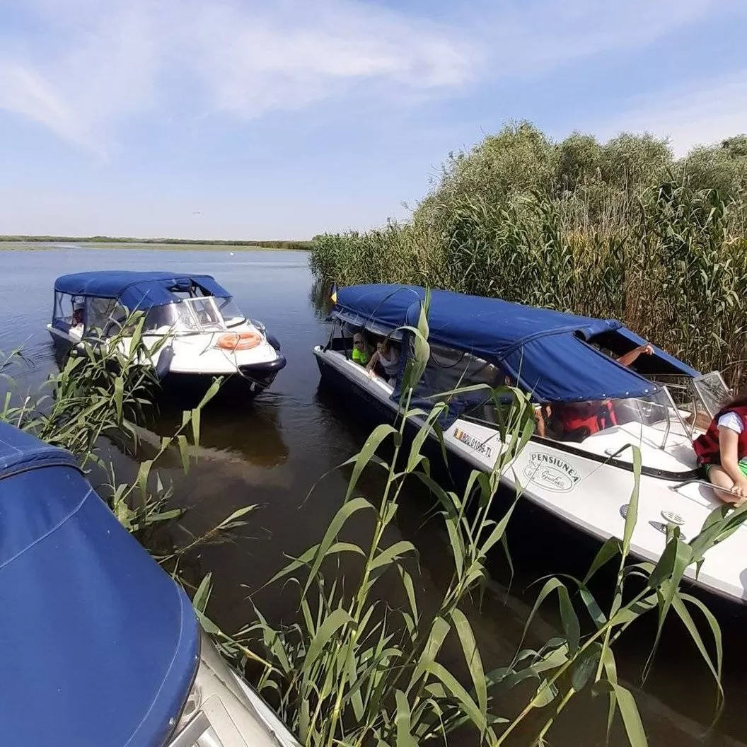 Sejur All Inclusive in Delta Dunarii 2025 Mila 23 Pensiunea Gigant Fish