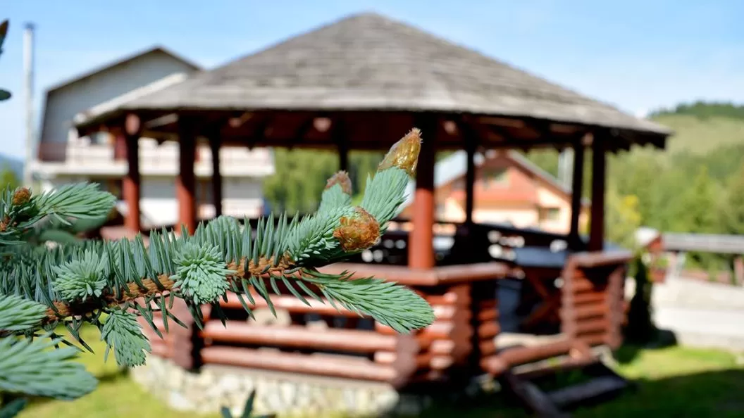 Valentine’s Day 2026 in Fundata Resort Euro Park