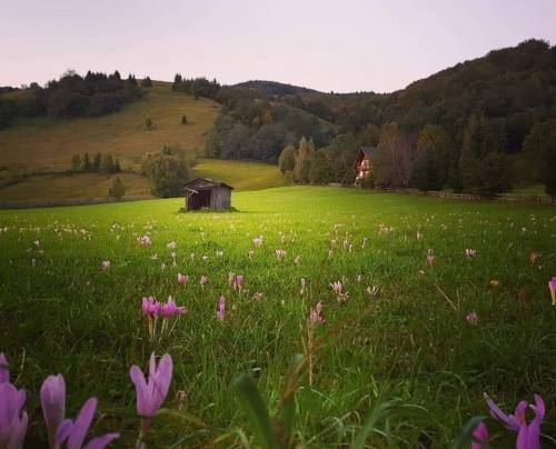 Vacanta in Bucovina 2025 Gura Humorului Best Western Bucovina