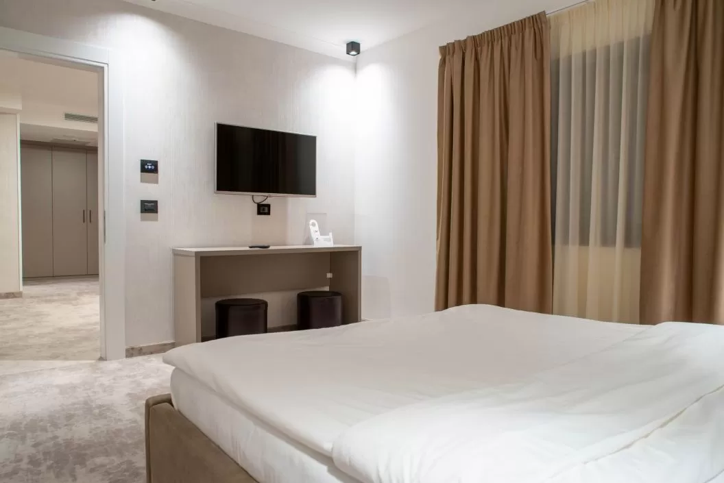 Revelion 2025 Maramures Borsa Hotel Roman
