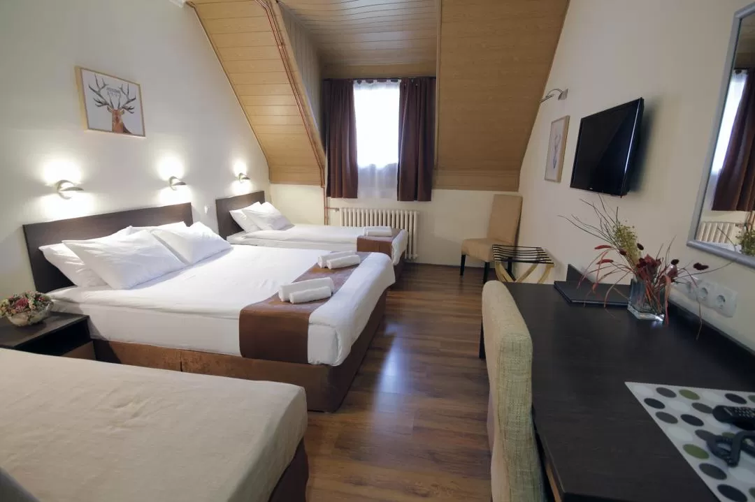 Sejur Ski 2021 -2022 Brzece Serbia Hotel JUNIOR