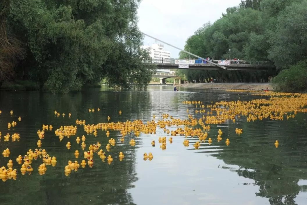 Cazare 2025 Oradea Hotel Continental Forum