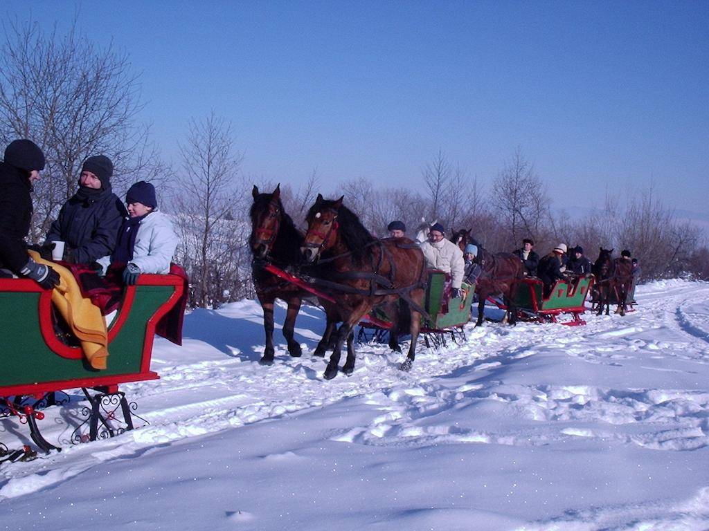 Vacanta la Munte 2021 Baile Tusnad Pensiunea Iris***