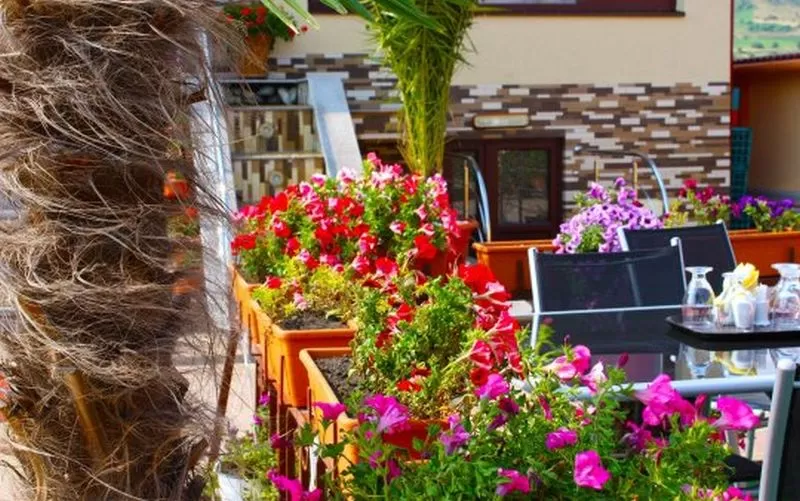 Sejur odihna 2022 Bran Hotel Maridor****