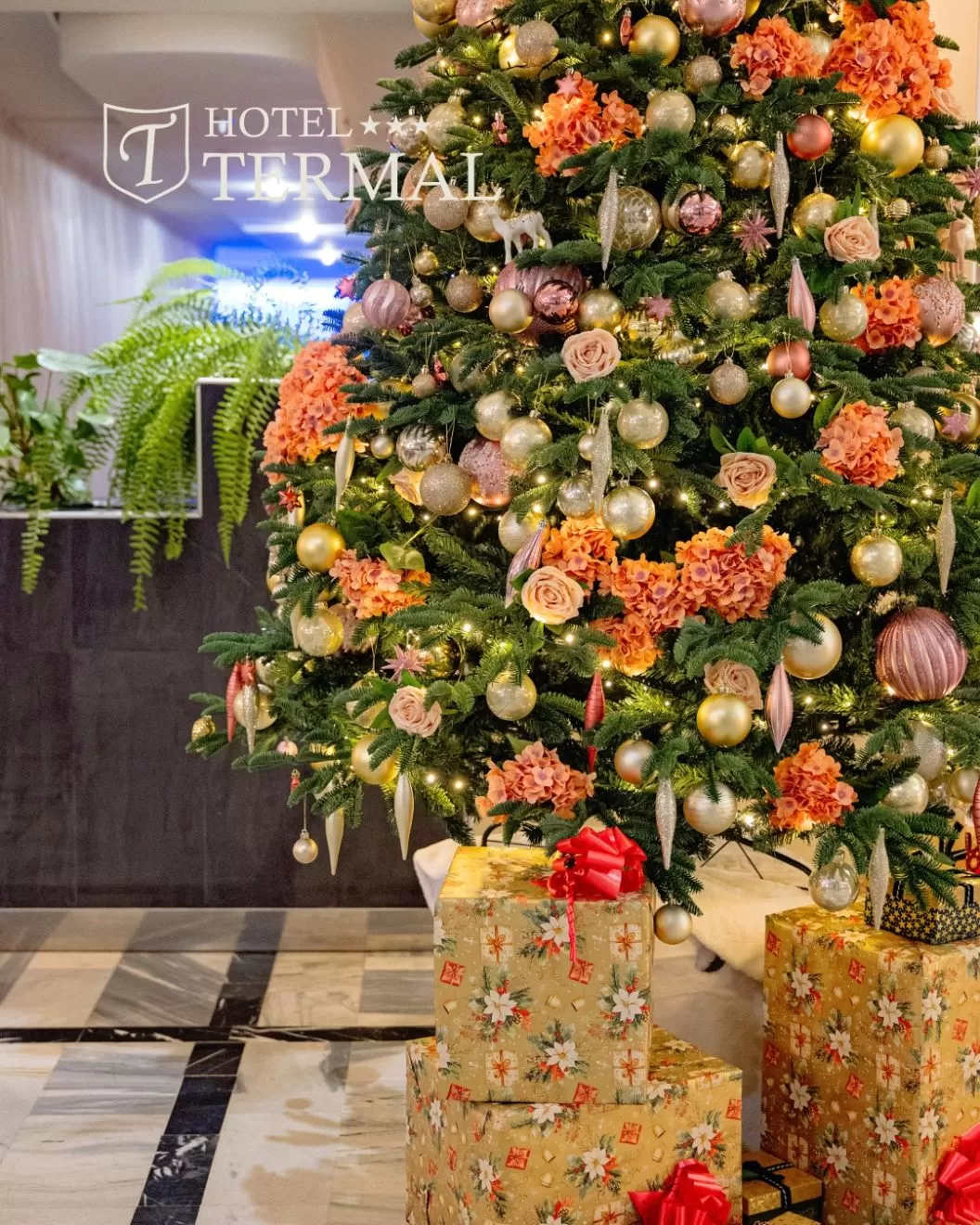 Craciun 2025 Baile Felix Hotel Termal