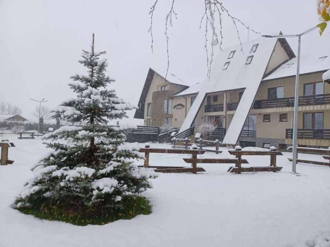 Revelion 2026 Bucovina Cacica Pensiunea Casa Domneasca