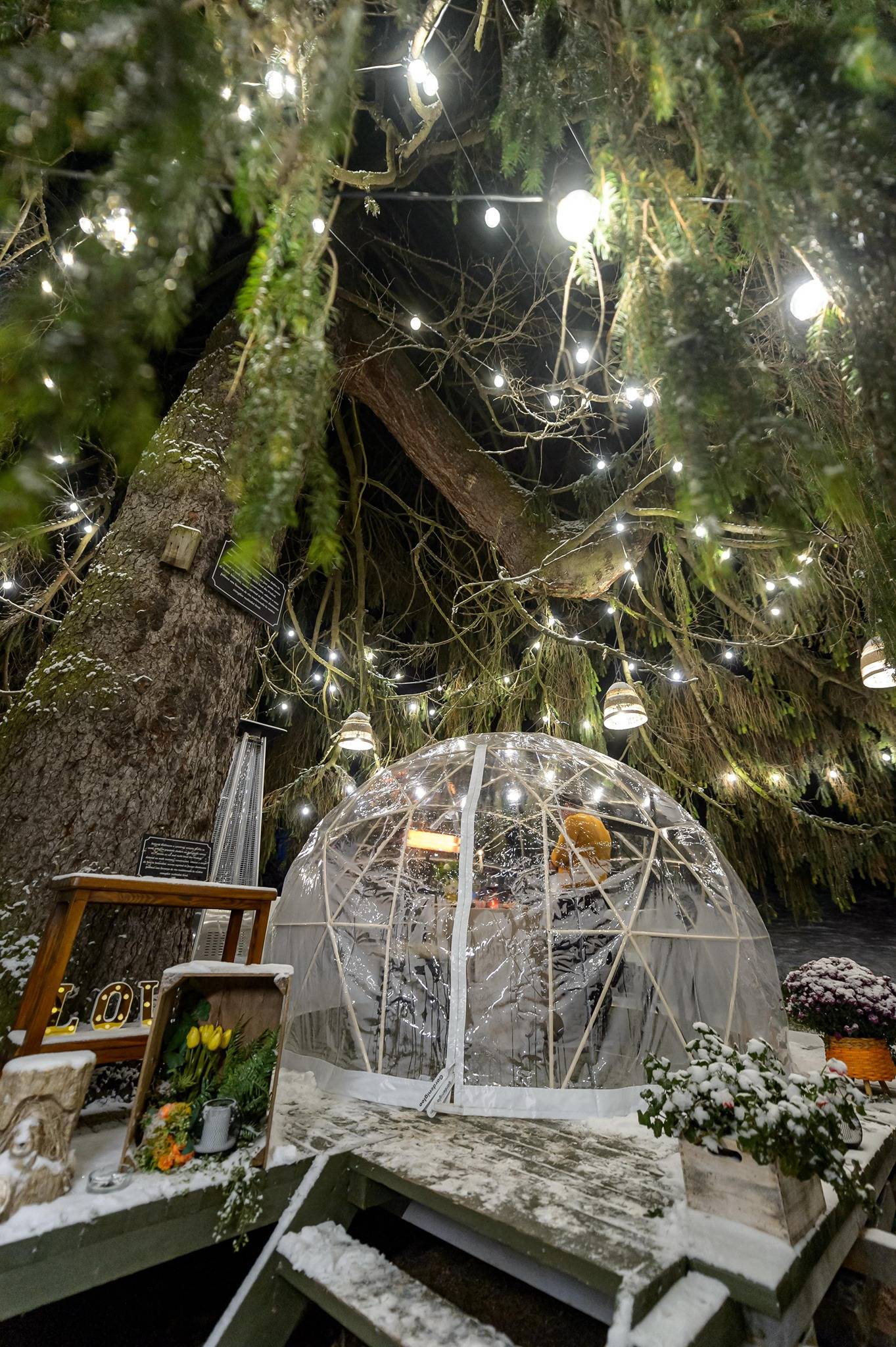 Minivacanta romantica 2023 in Predeal Boutique Elexus***