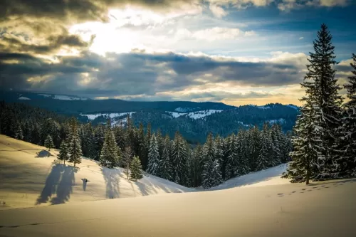 Revelion 2026 Bucovina Vatra Dornei Hotel Dorna