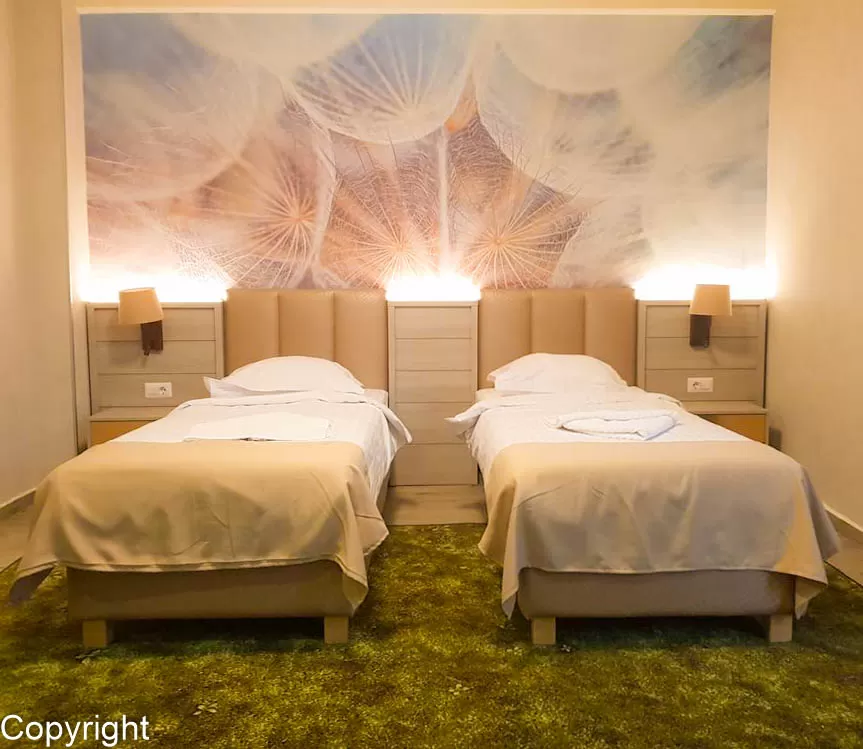 Sejur odihna 2020 Baile Olanesti - Hotel Florilor***