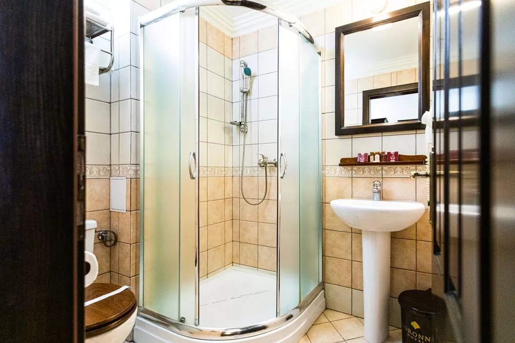 Cazare 2024 Timisoara Hotel Koronna***