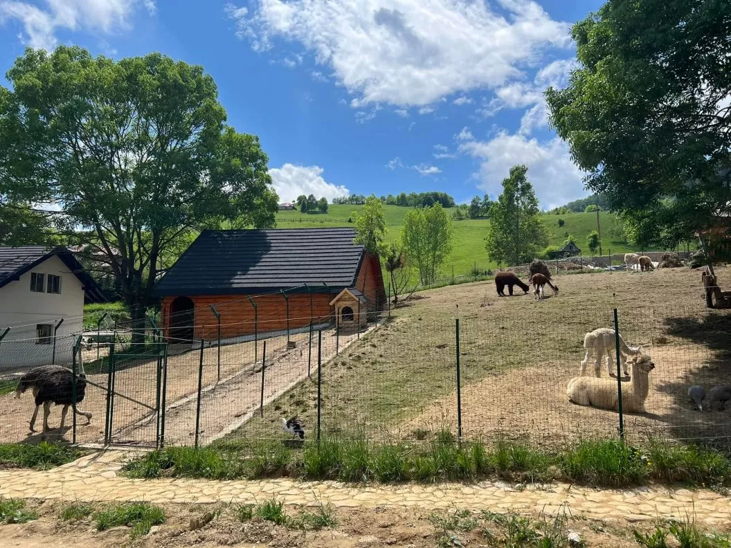 Sarbatori de Pasti 2026 in mijlocul naturii Fundata Sirnea Domeniul Valea Lupilor