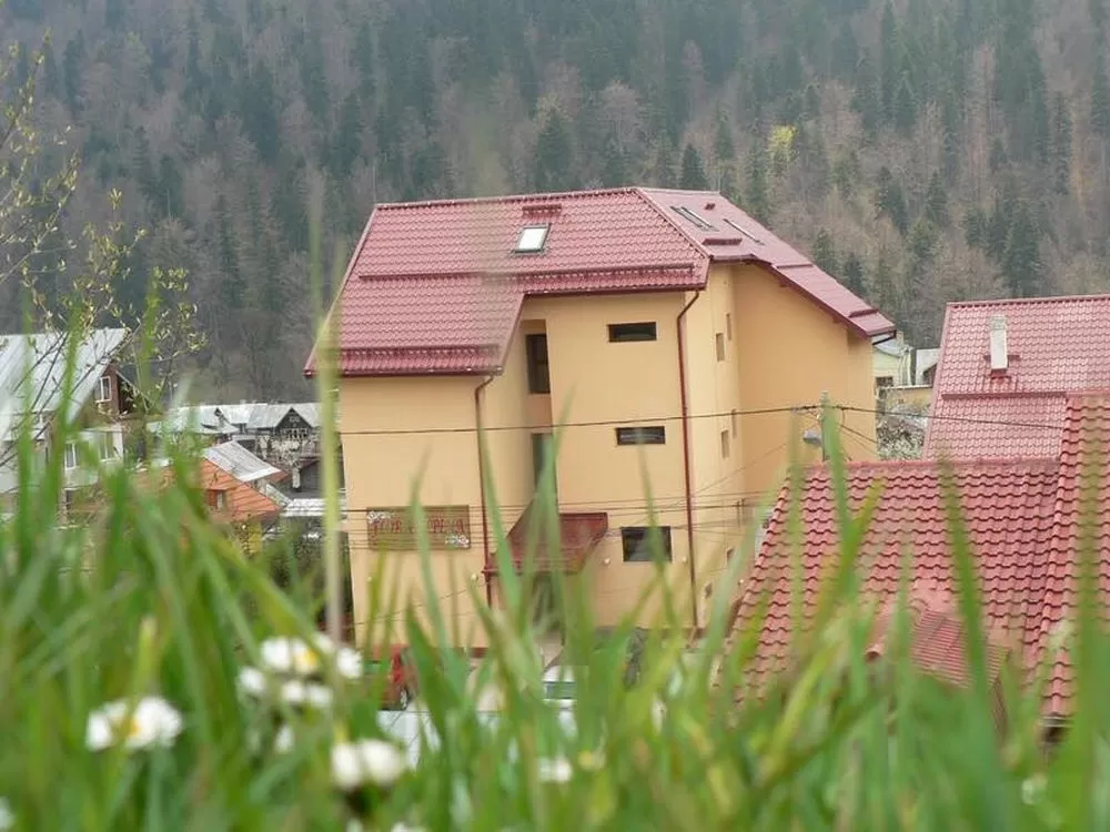 O saptamana la Munte 2023 Azuga Pensiunea Flora Alpina****