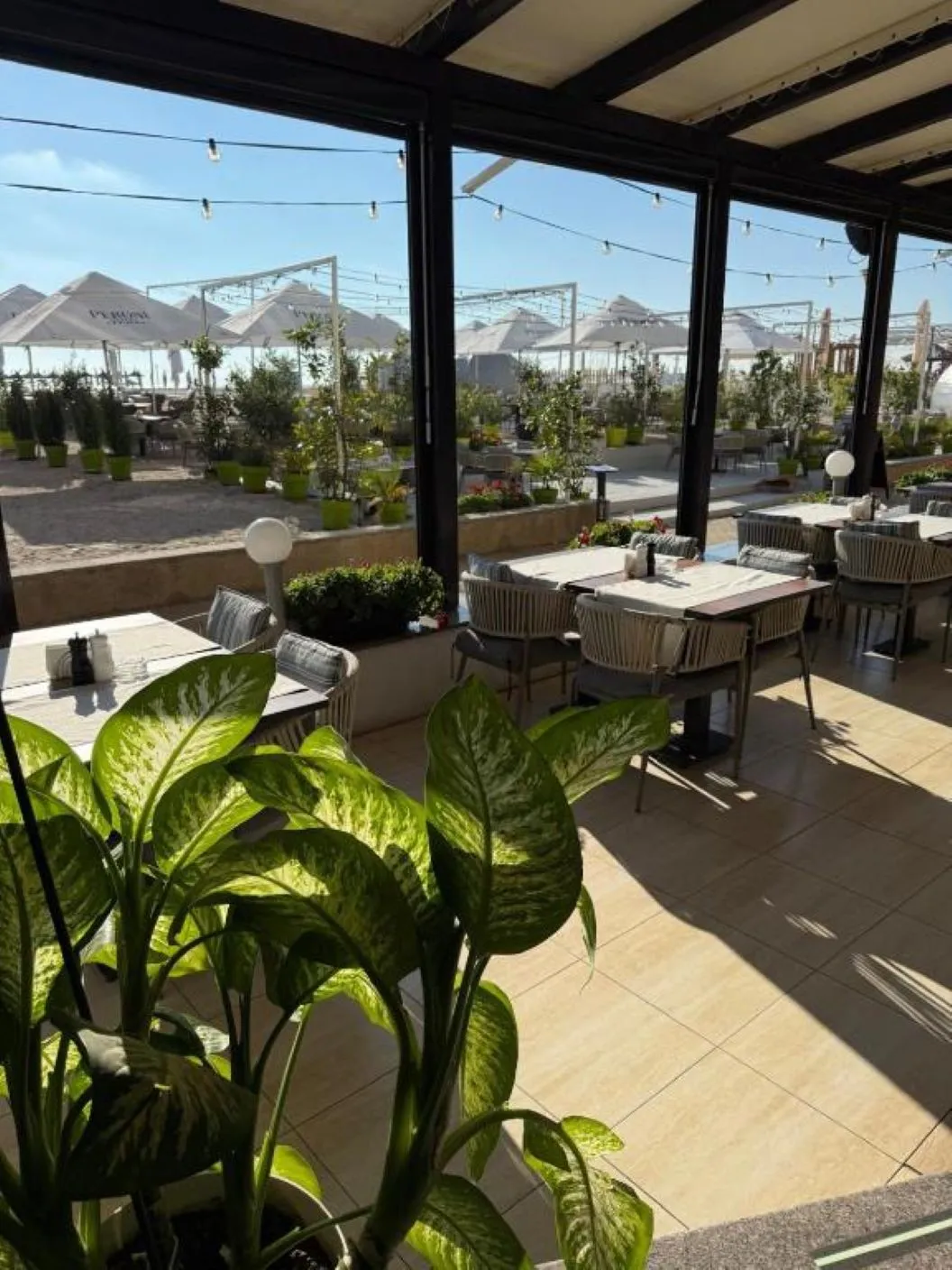 Litoral 2026 Mamaia Hotel Hawaii