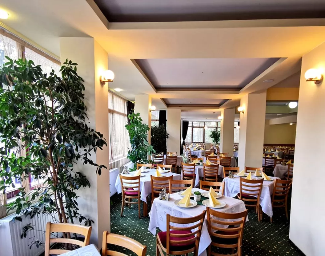 Tratament Balneo Activ 2025 Baile Herculane Hotel Domogled