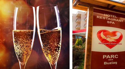Revelion 2024 Buzias Hotel Parc