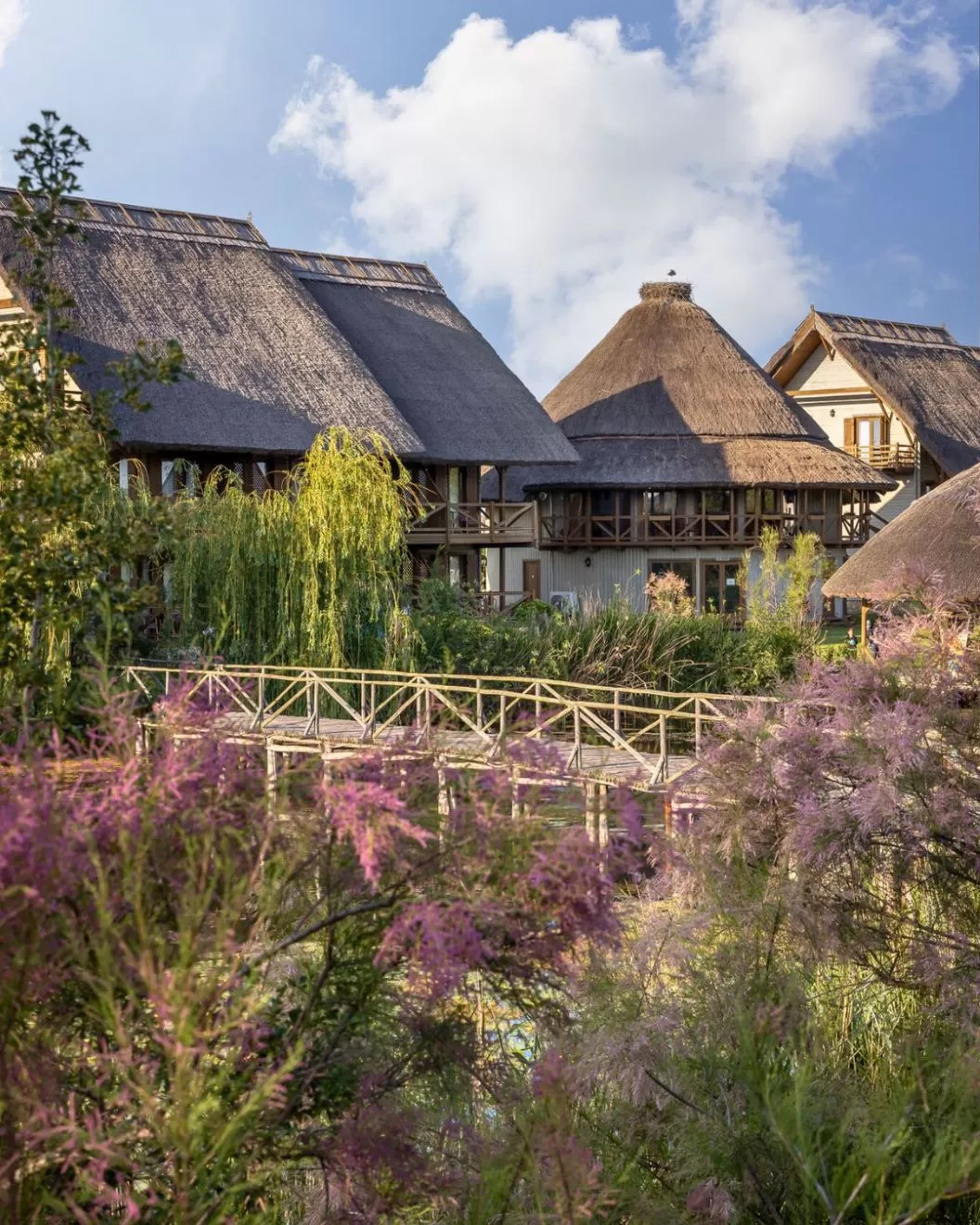 Seniori 2026 Delta Dunarii Sfantu Gheorghe Complex Green Village